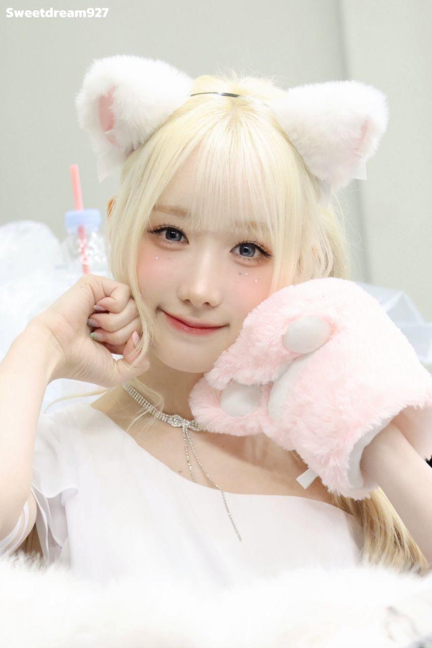 세이마이네임 메이5