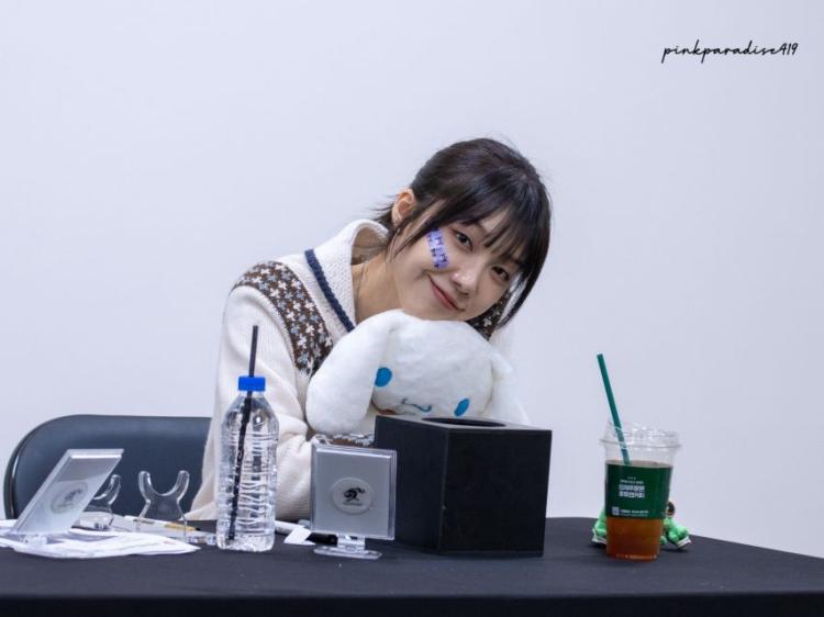 에이핑크 정은지7