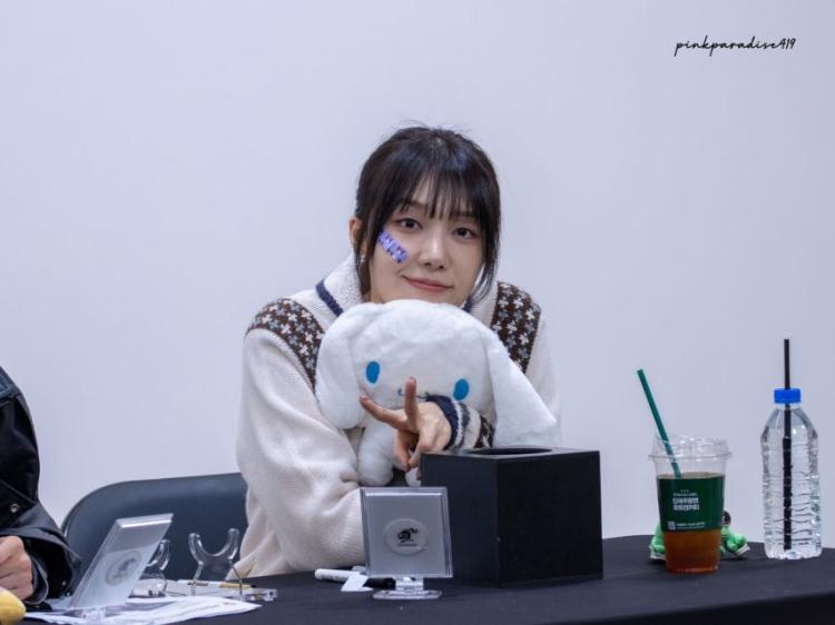 에이핑크 정은지8