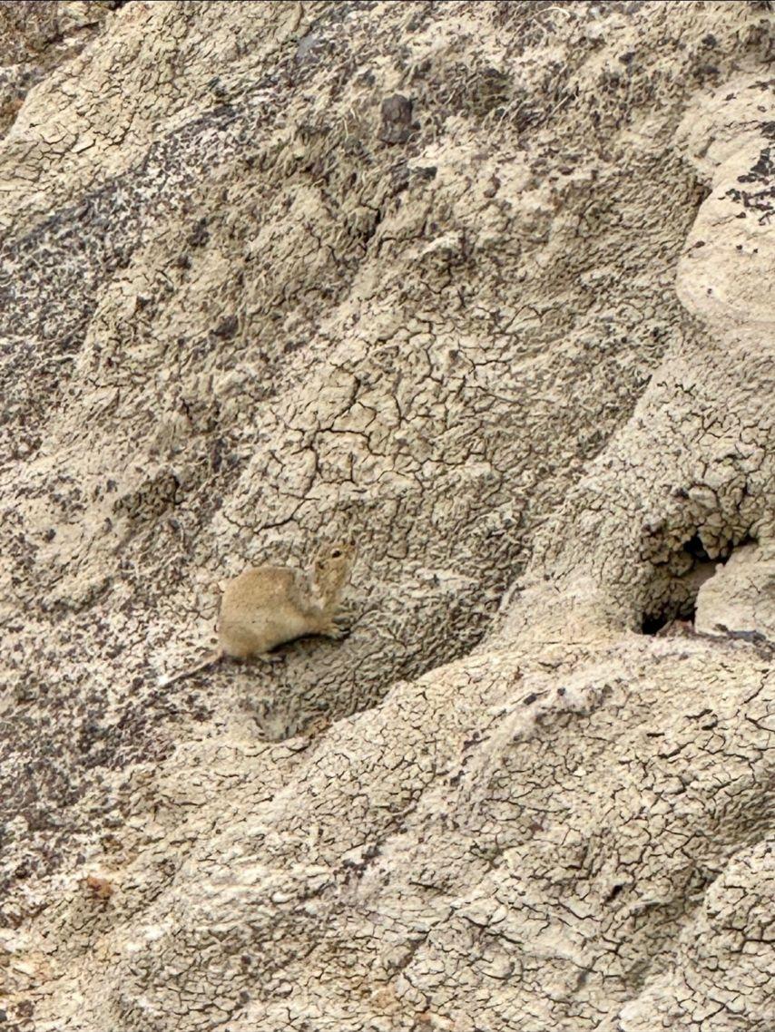 고윤정 후쿠시소타 이 사랑 통역 되나요?/ 고윤정 인별 상쾌환6