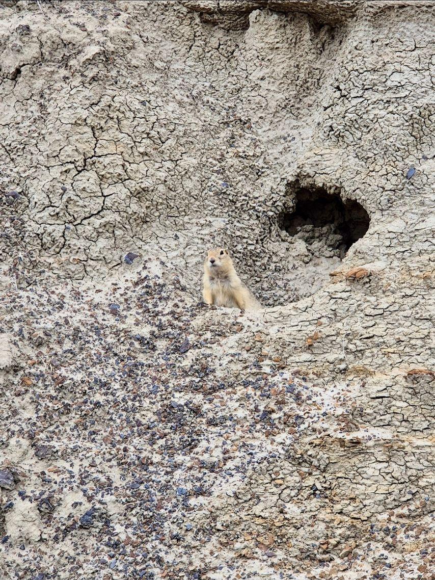 고윤정 후쿠시소타 이 사랑 통역 되나요?/ 고윤정 인별 상쾌환7