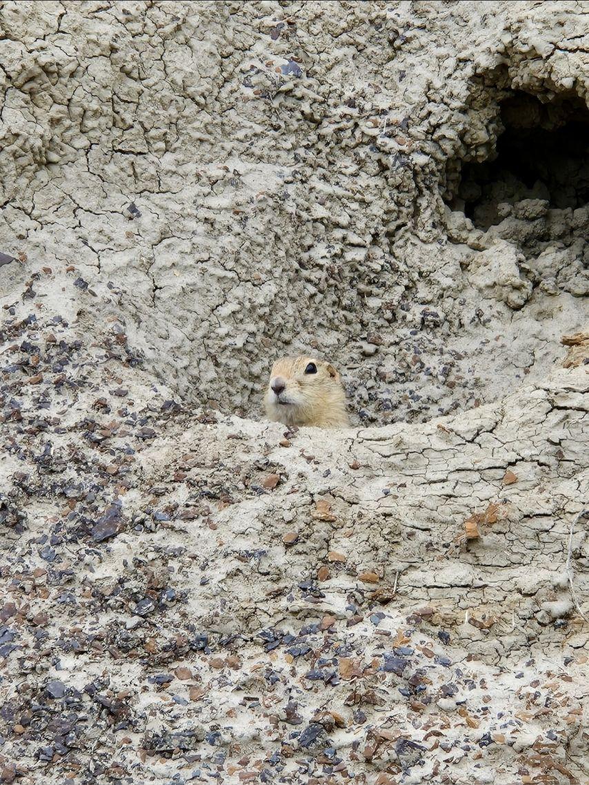 고윤정 후쿠시소타 이 사랑 통역 되나요?/ 고윤정 인별 상쾌환8
