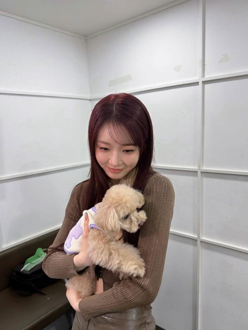 LIGHTSUM (라잇썸) 주현8