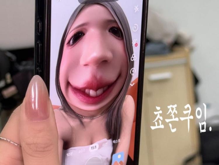 LIGHTSUM (라잇썸) 초원11