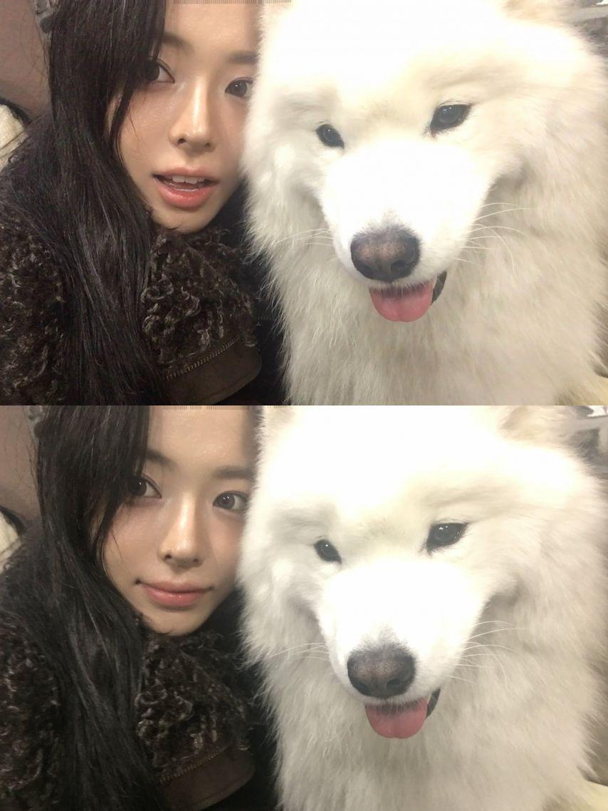 세이마이네임 슈이1