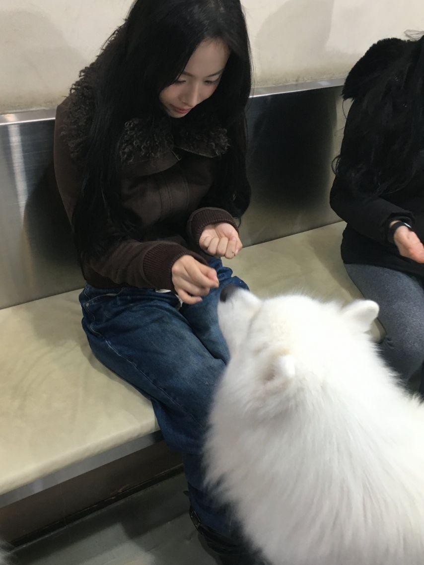 세이마이네임 슈이2