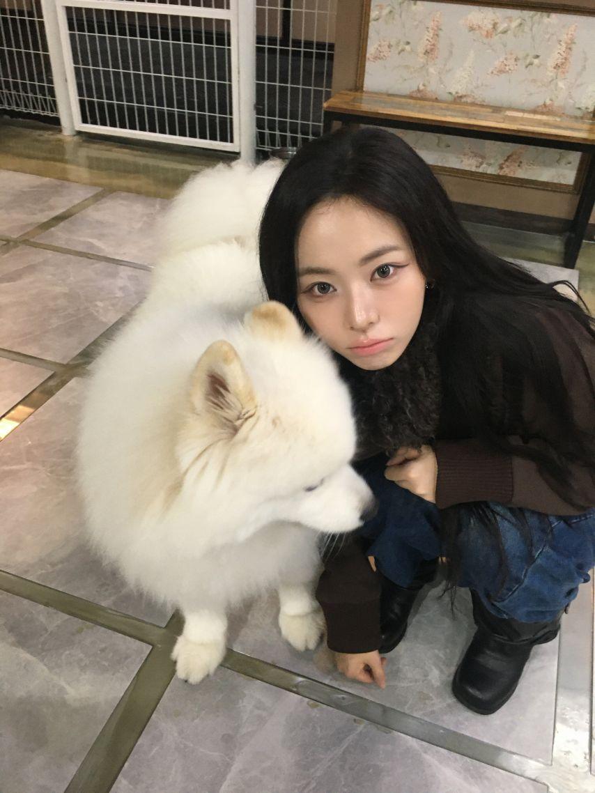 세이마이네임 슈이3