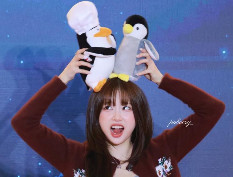 츄 BYC/ 팬미팅14