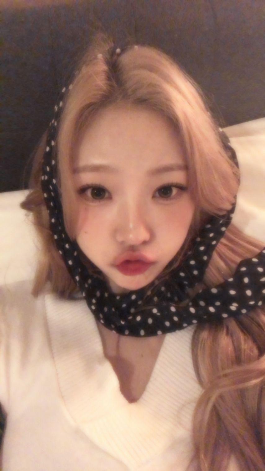 하츠투하츠 스텔라1