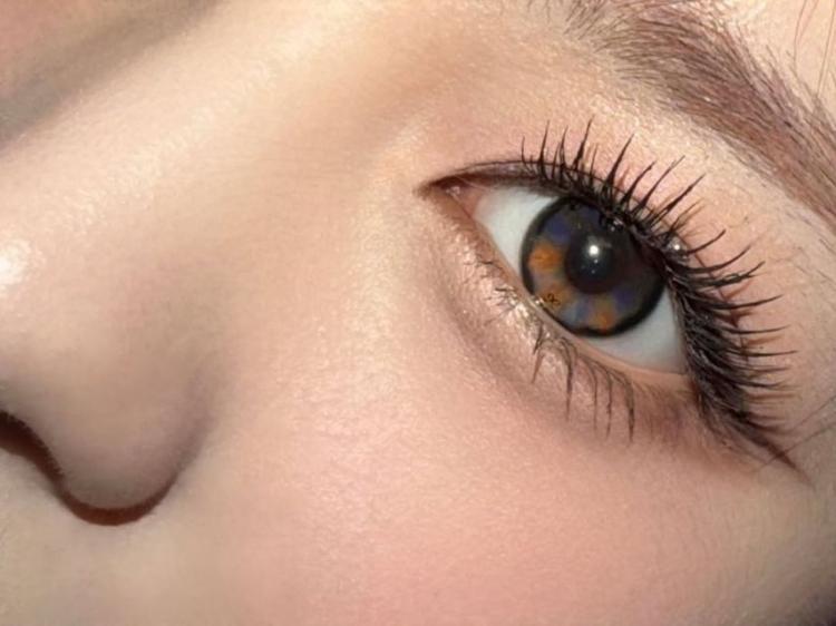 UNIS (유니스) 엘리시아4