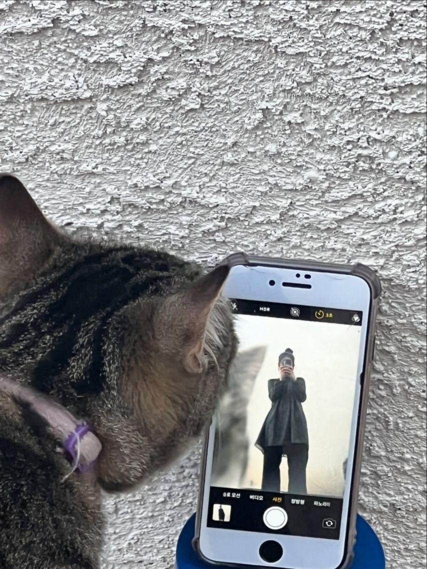 아이칠린 (ICHILLIN') 주니12