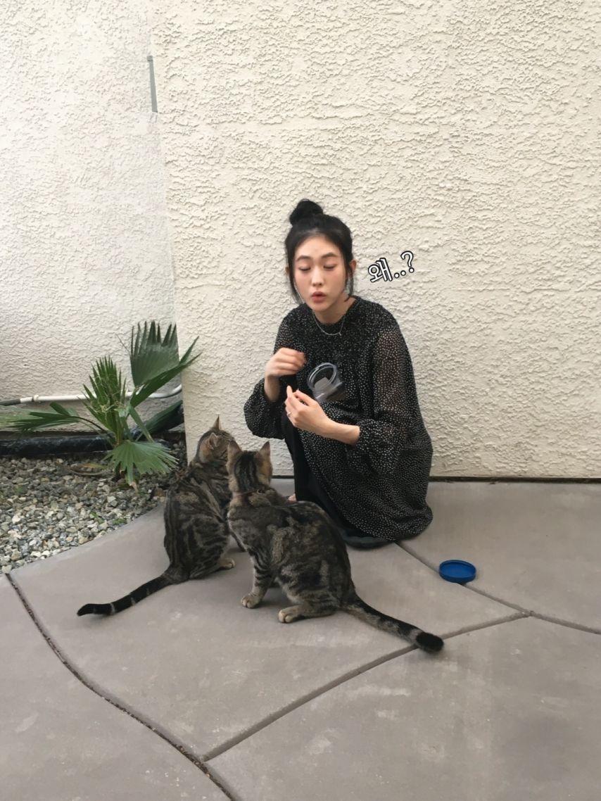 아이칠린 (ICHILLIN') 주니15