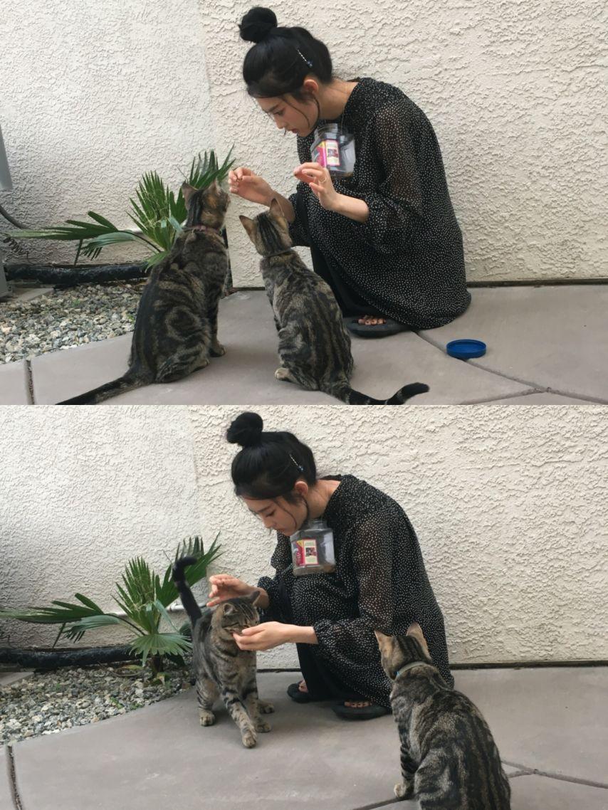 아이칠린 (ICHILLIN') 주니16