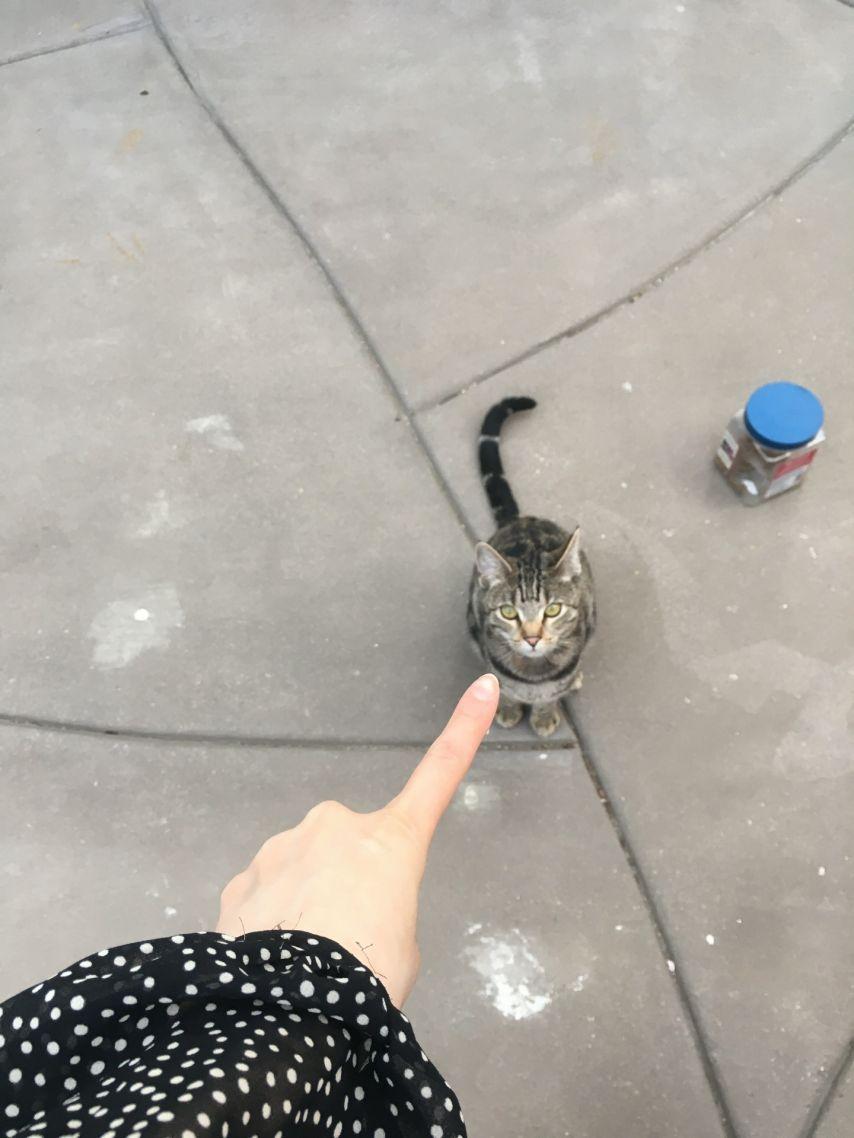 아이칠린 (ICHILLIN') 주니4