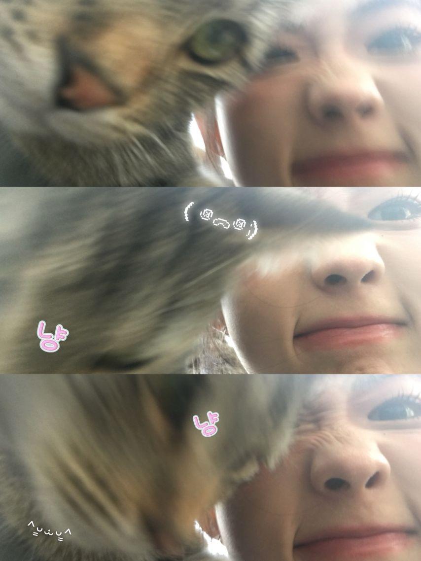 아이칠린 (ICHILLIN') 주니5