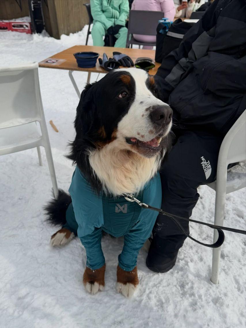 BLACKPINK (블랙핑크) 리사9