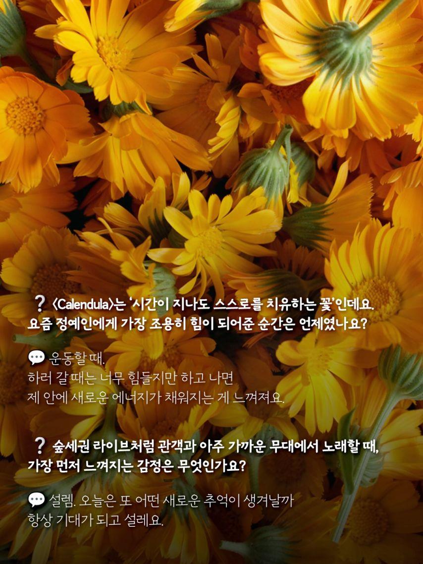 정예인 러블리즈 인별 등10