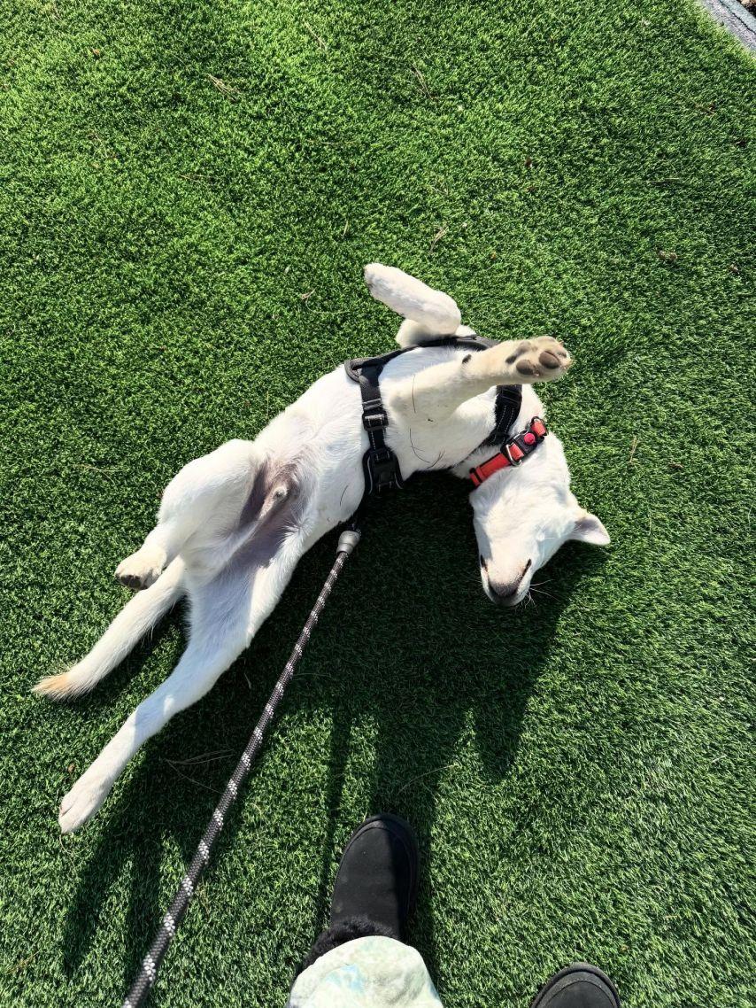 슬기 레드벨벳 oiad오아드 & 릴스 & 인별/ 예리김예림 인별17