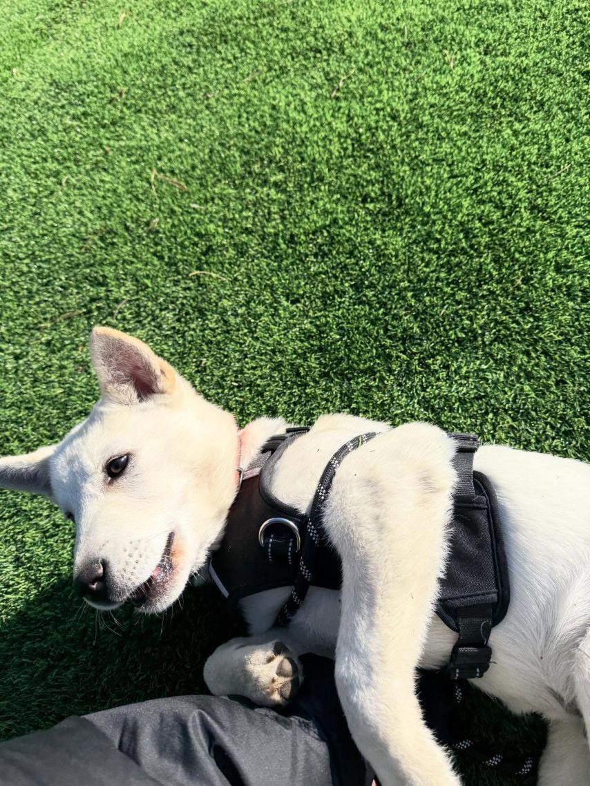 슬기 레드벨벳 oiad오아드 & 릴스 & 인별/ 예리김예림 인별18