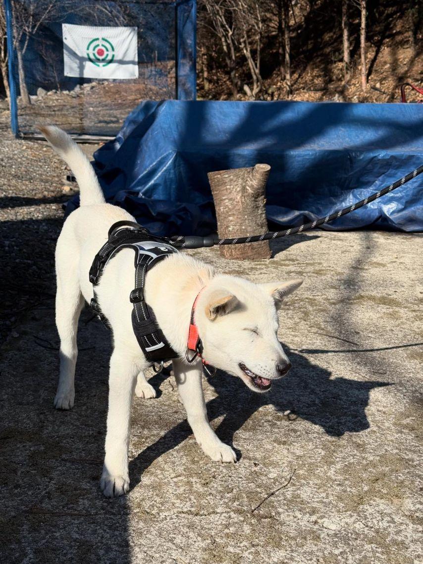 슬기 레드벨벳 oiad오아드 & 릴스 & 인별/ 예리김예림 인별20