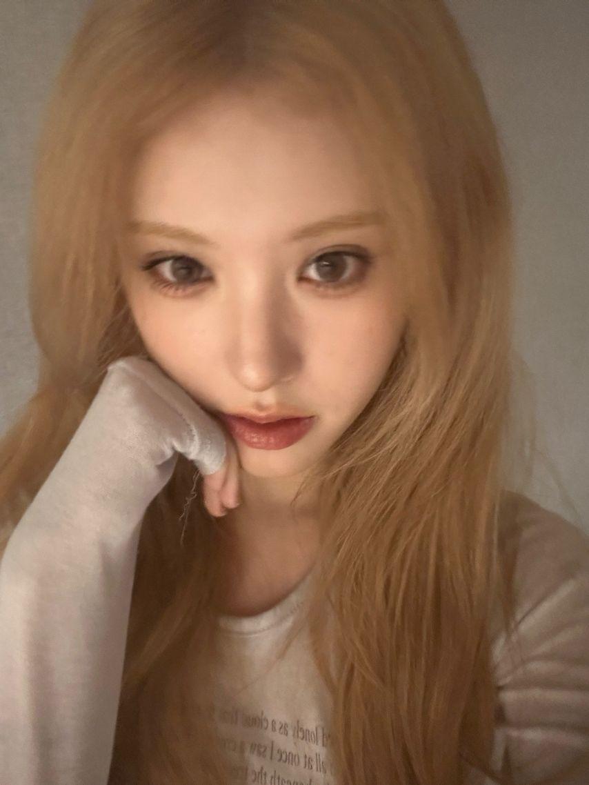 오드유스 카니, 마야4