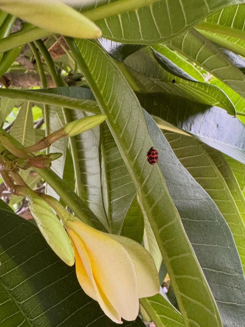 예린 여자친구 인별11