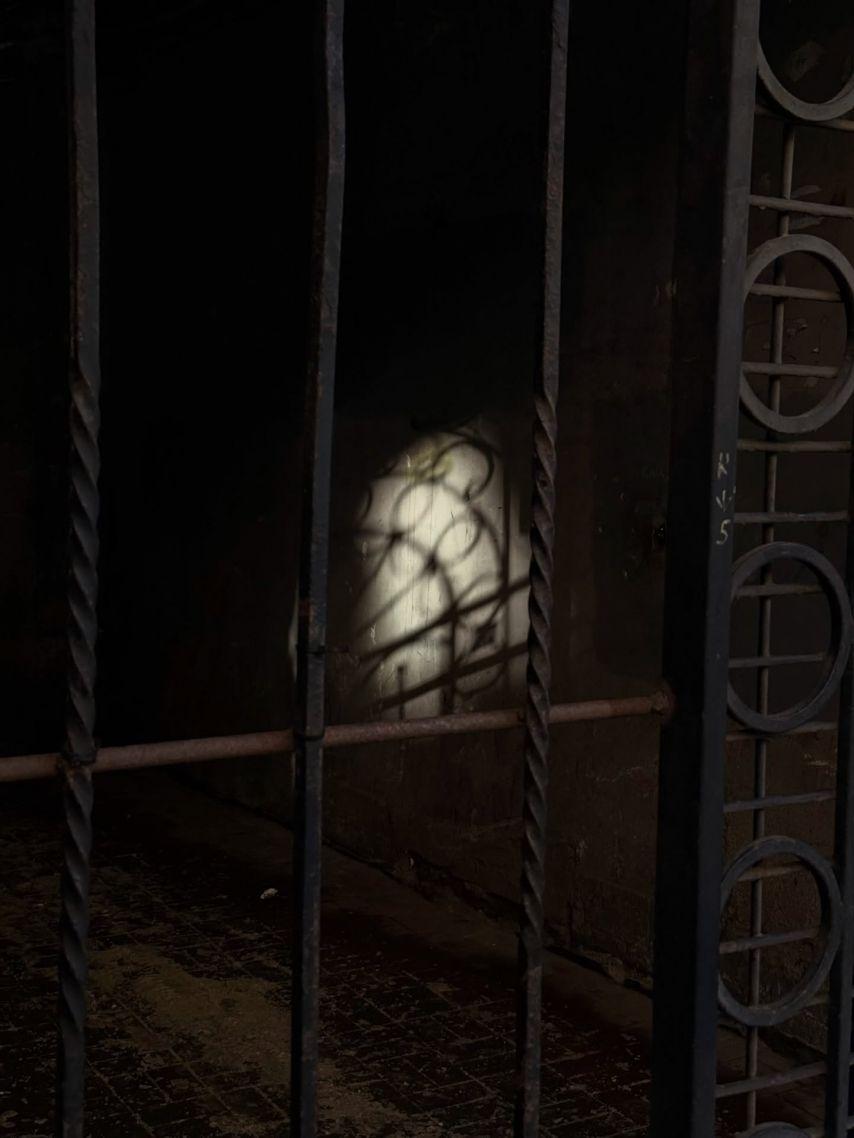 안젤리나 다닐로바14