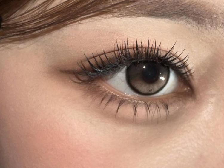 UNIS (유니스) 엘리시아6