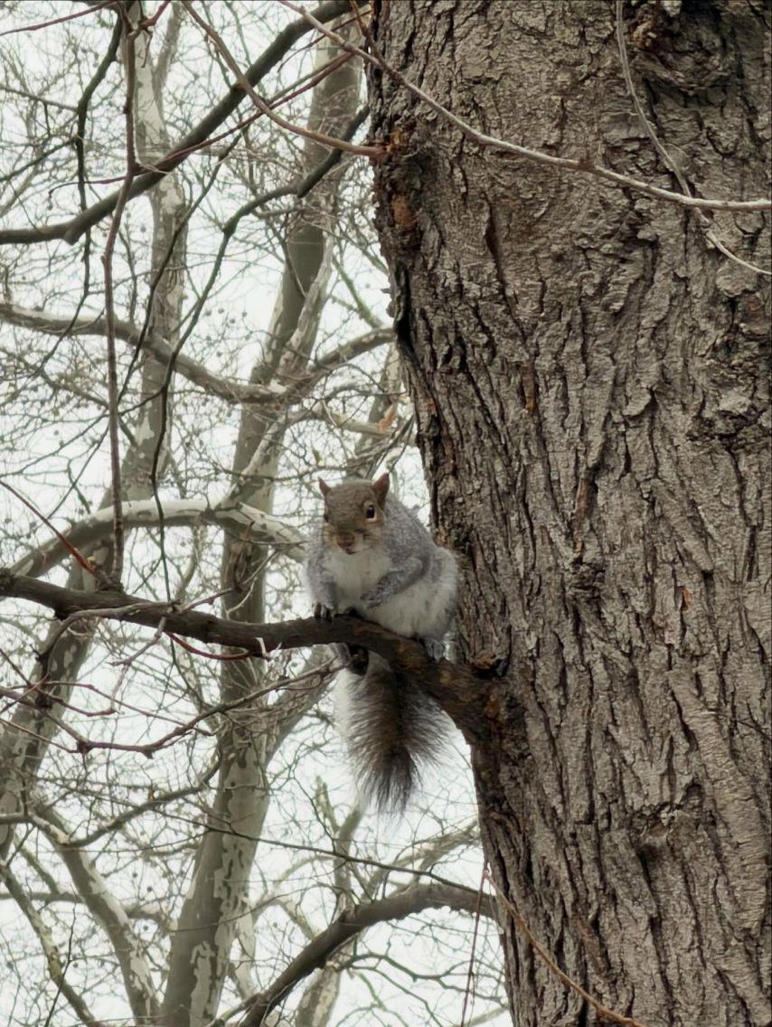 엄지 VIVIZ비비지 인별9
