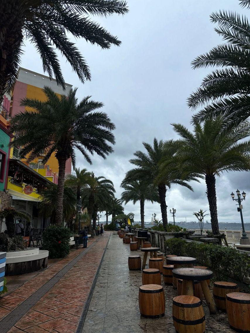 조민지 아나운서3