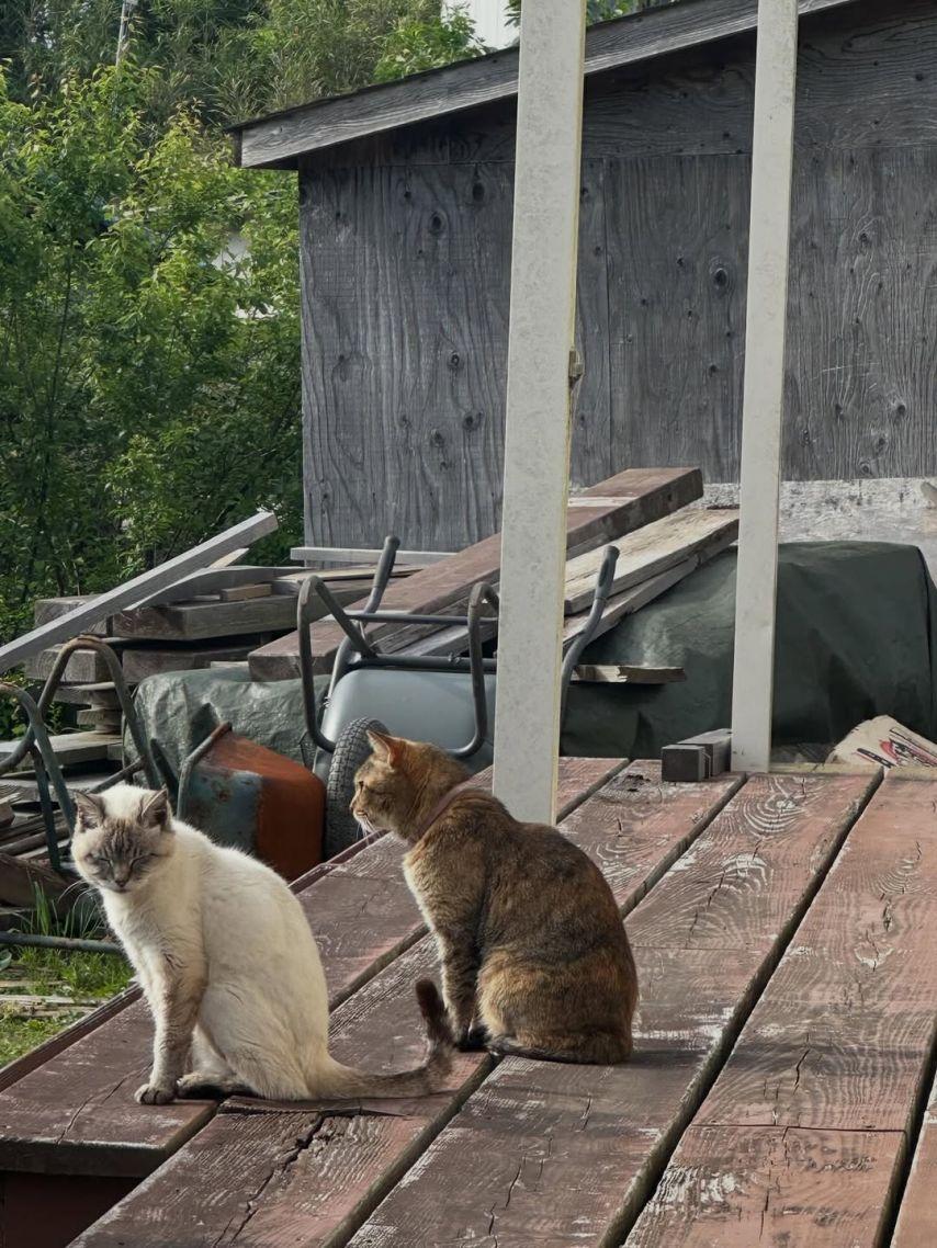 케플러 (Kep1er) 샤오팅7