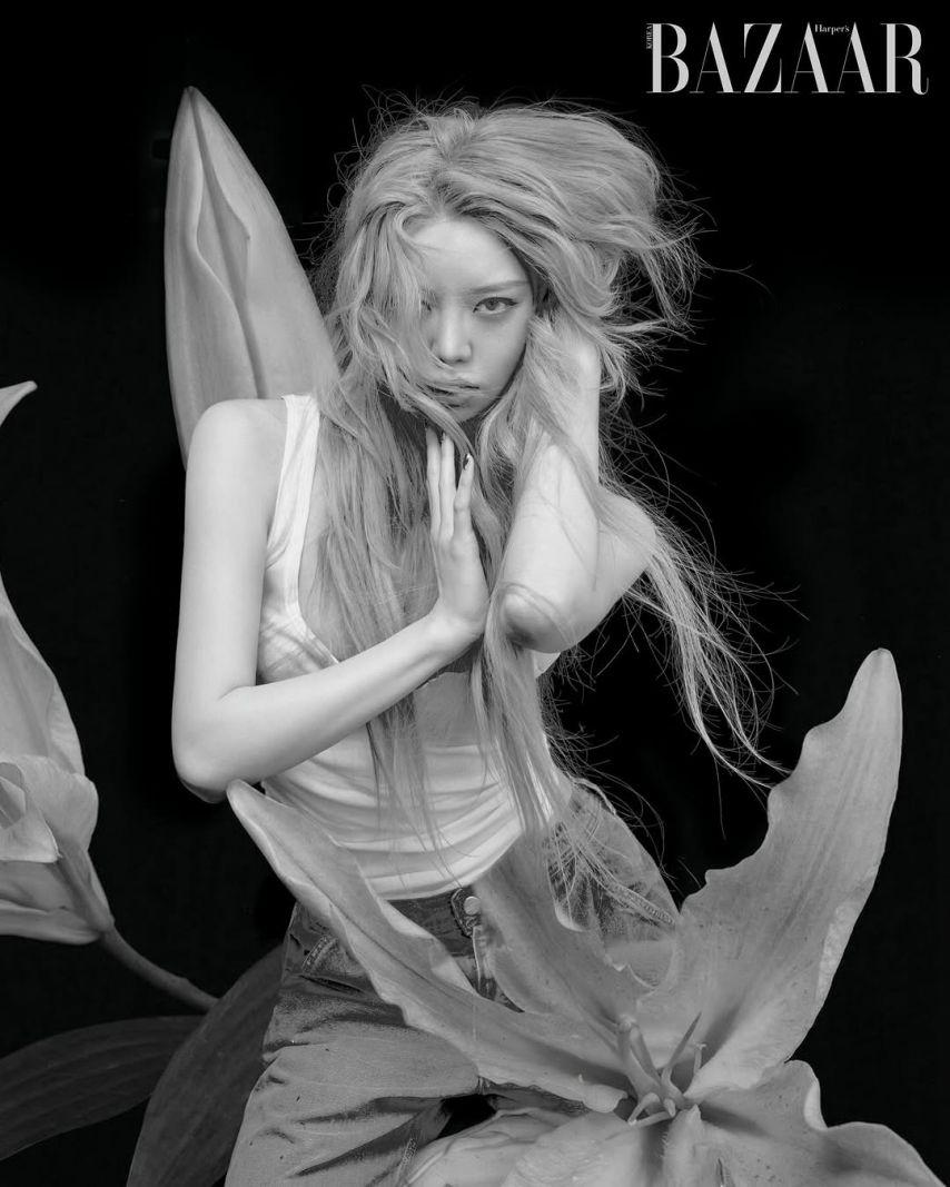 ALLDAY PROJECT (올데이 프로젝트) 베일리0