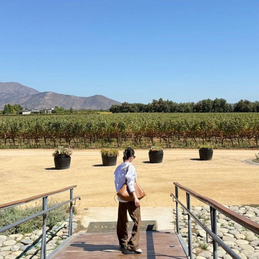 이정현 아나운서0