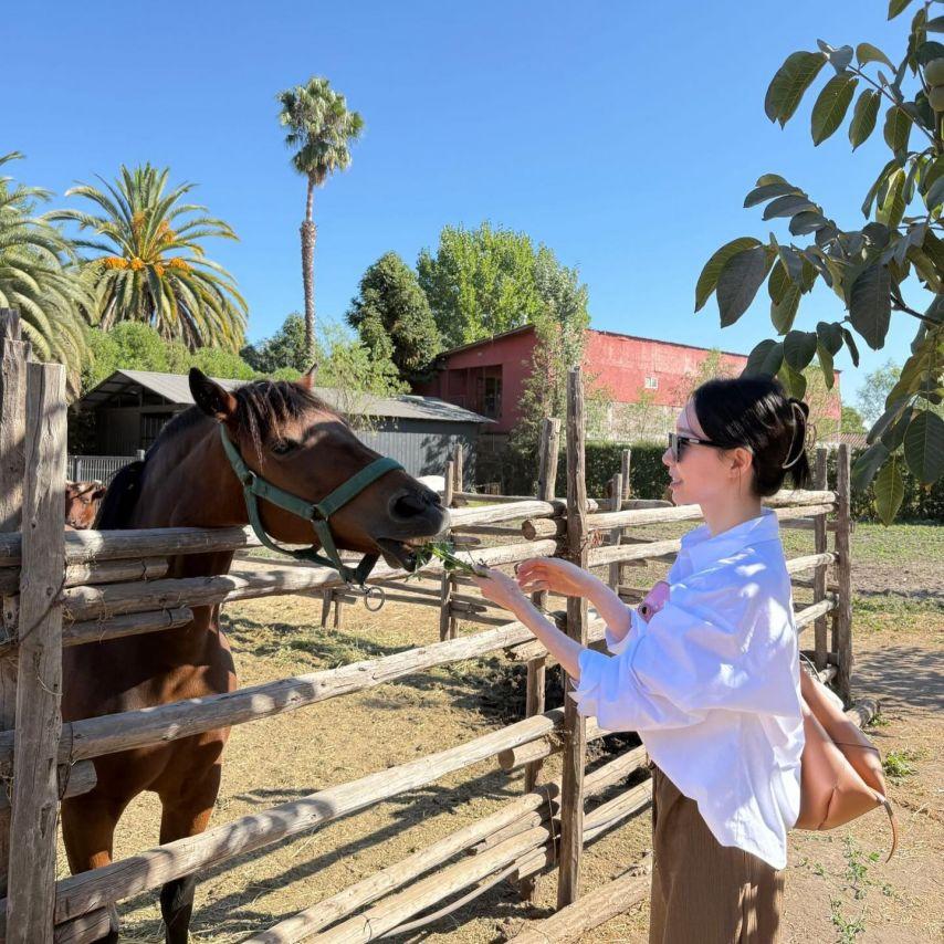 이정현 아나운서5