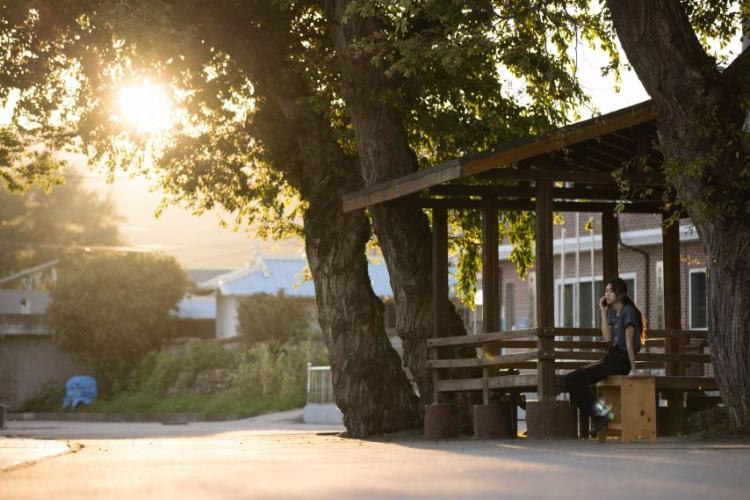 전소민 김도연 추소정엑시 열여덟청춘9