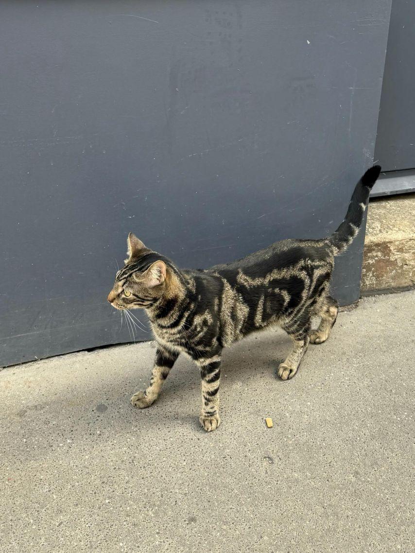 슬기/ 조이 레드벨벳 인별8