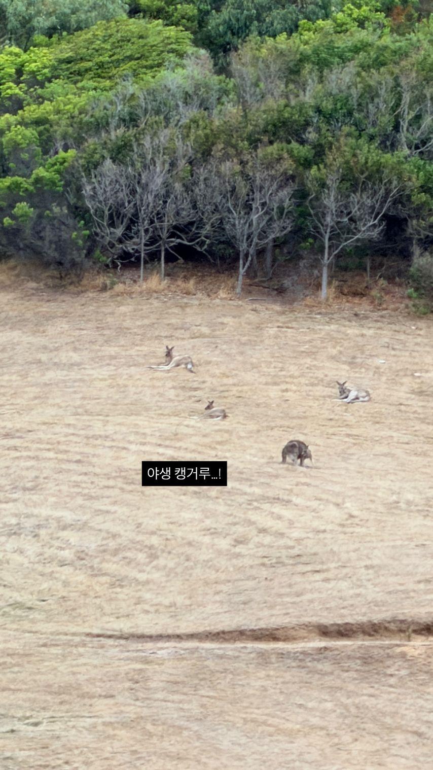 주시은 아나운서3