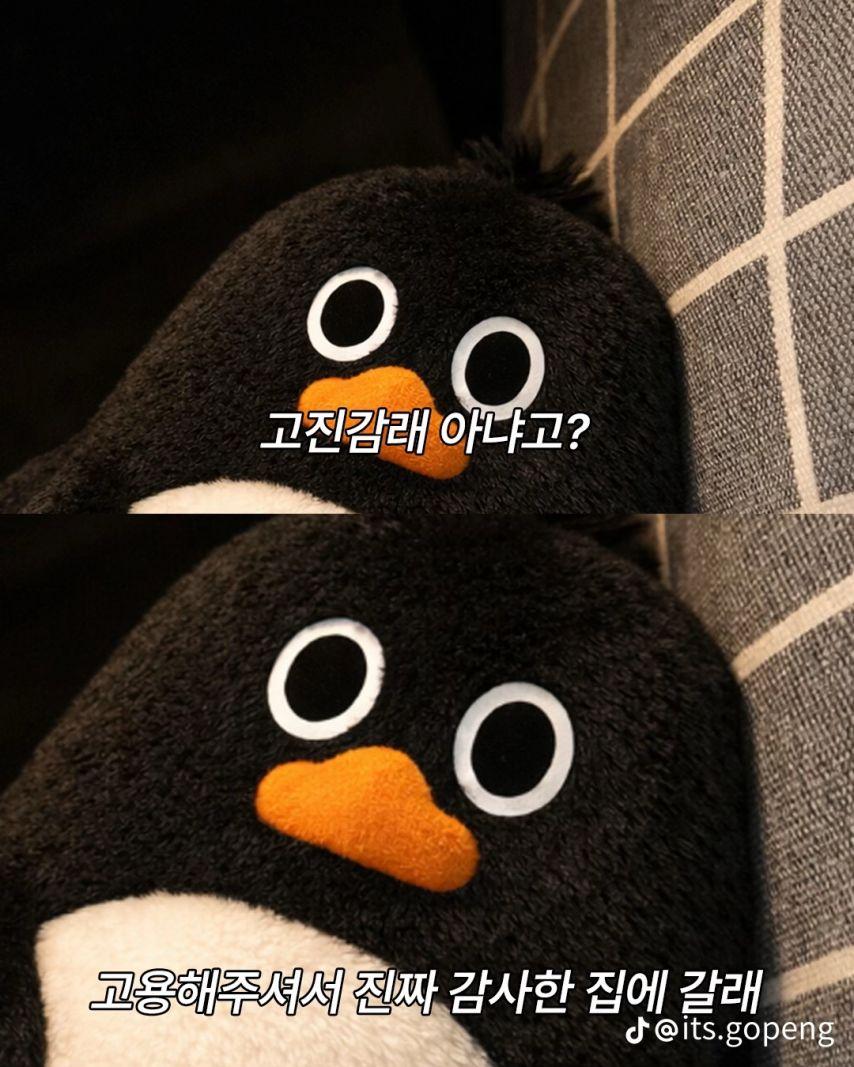 하츠투하츠 주은5