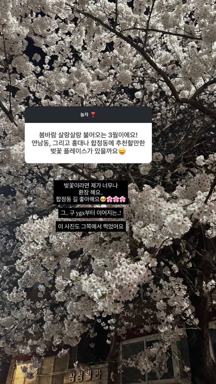 경리 인별 무물3