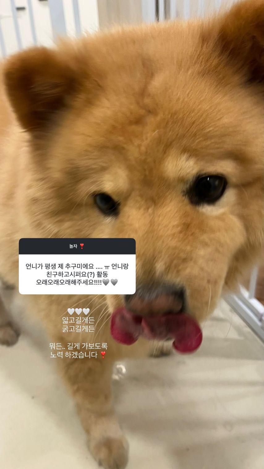 경리 인별 무물5