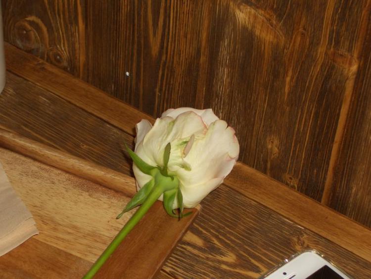 베이비몬스터 아현5