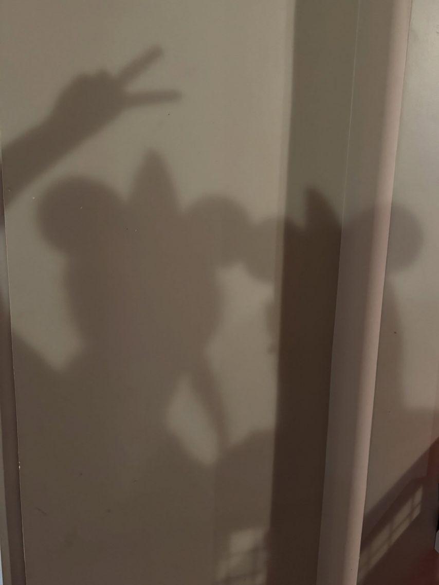 남지현 인스타16