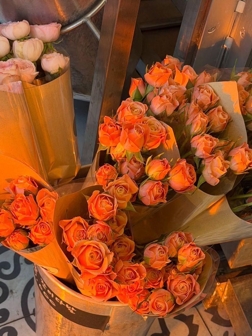 수윤 쥬리 로켓펀치 인별5