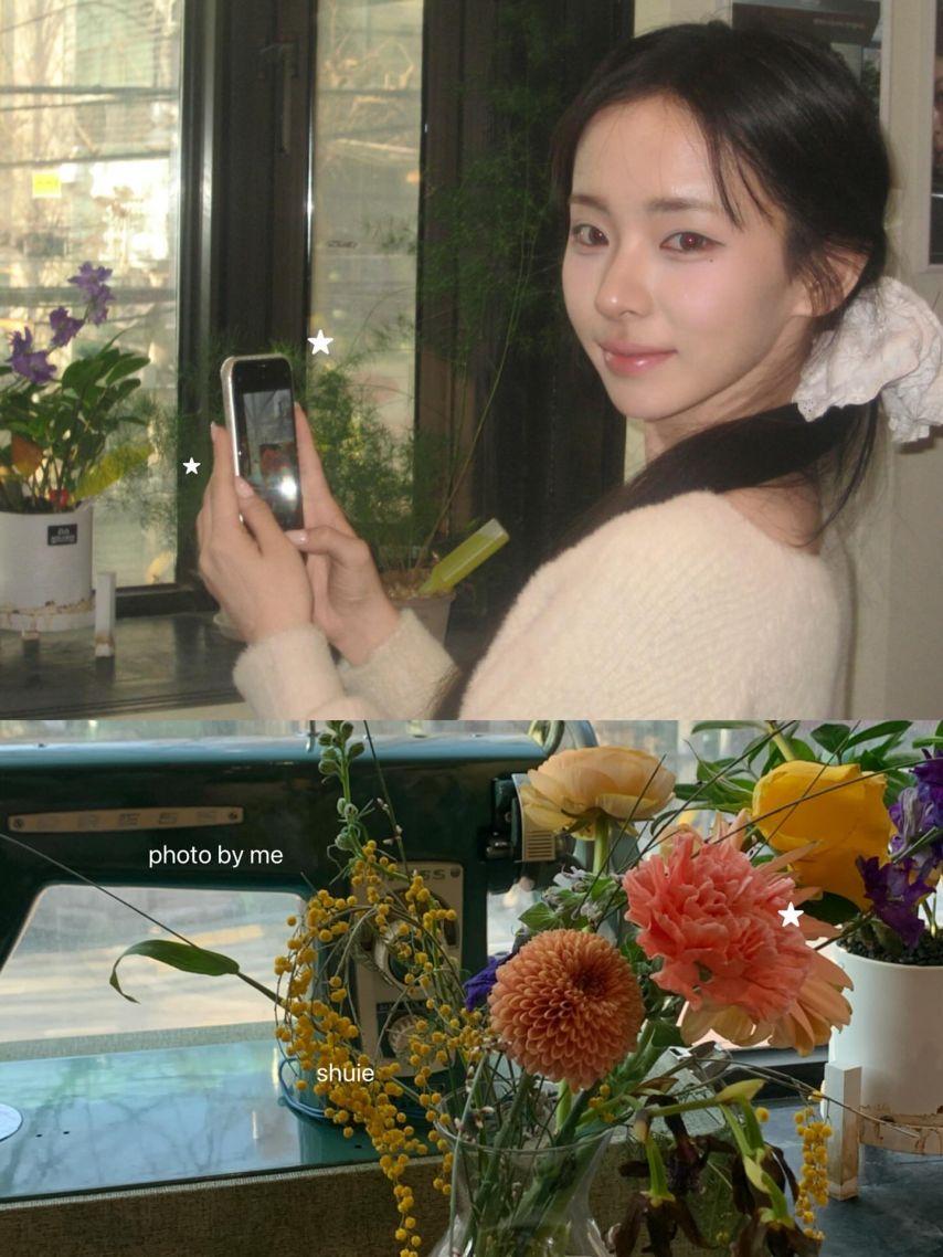 세이마이네임 슈이7