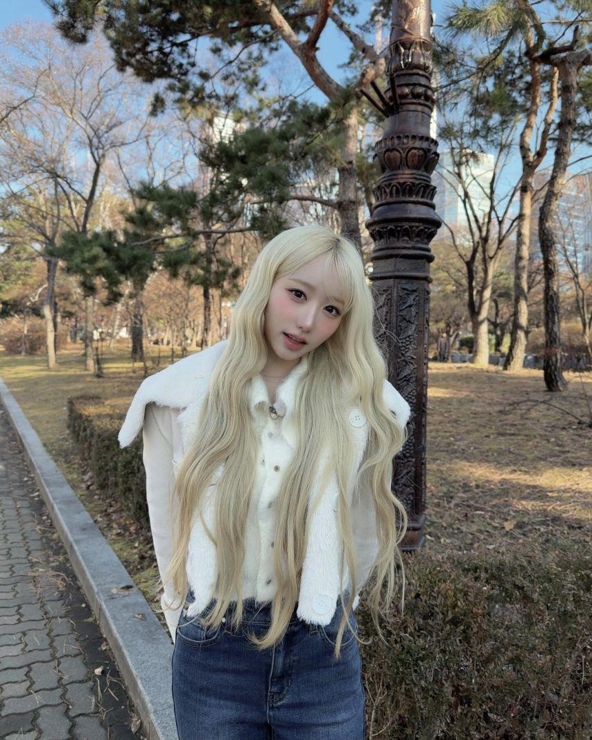 세이마이네임 메이2