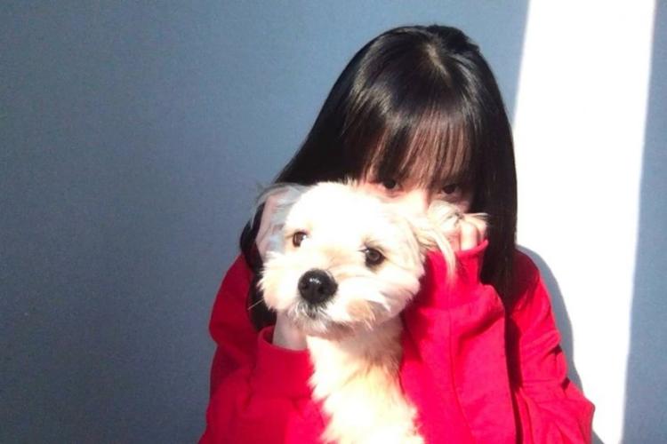 설아 우주소녀 인별4