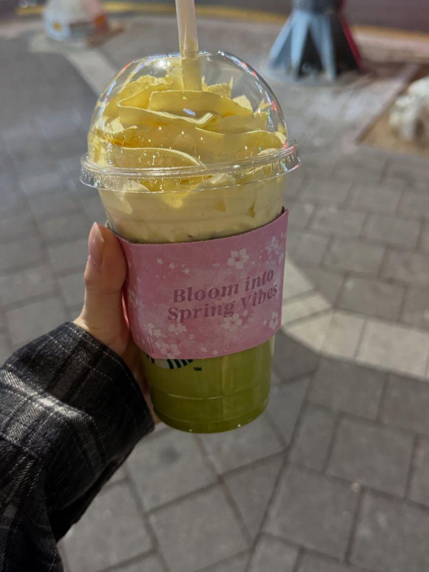 레이턴시 지지원16