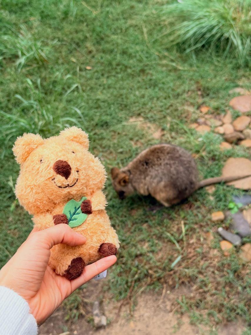 주시은 아나운서21