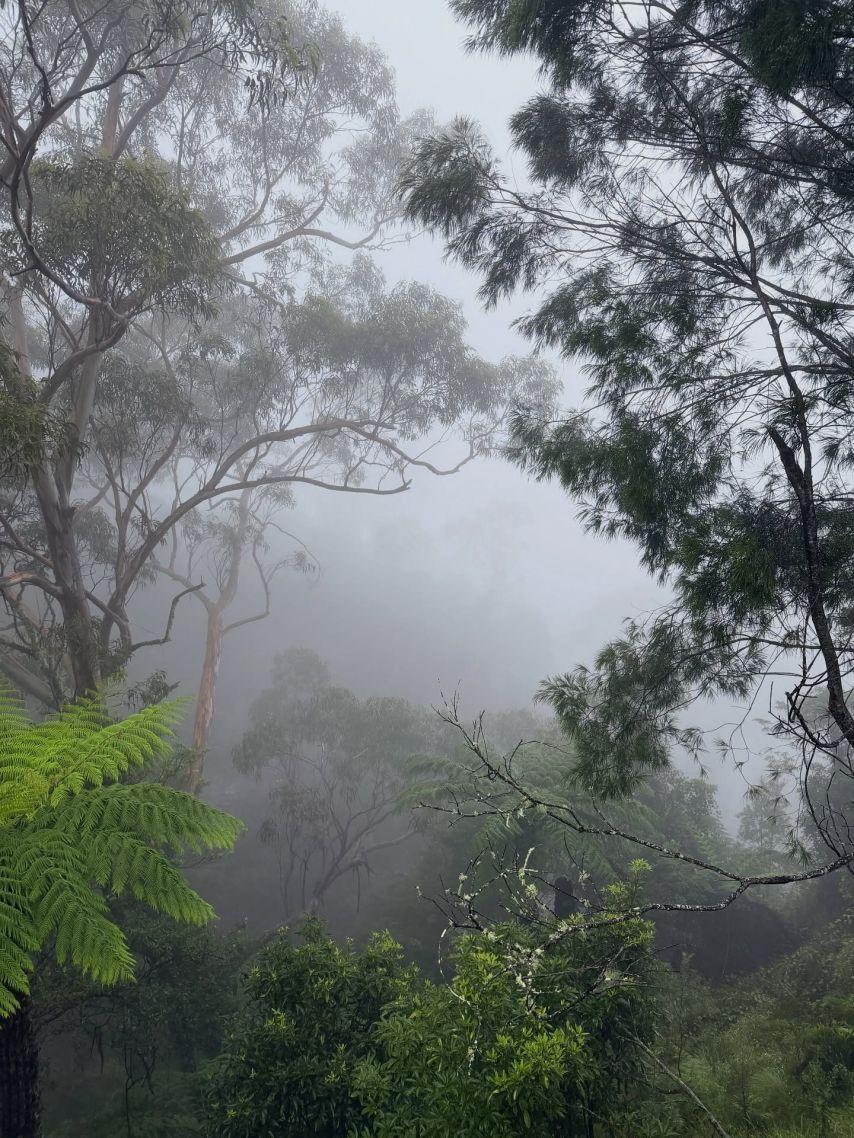 주시은 아나운서24
