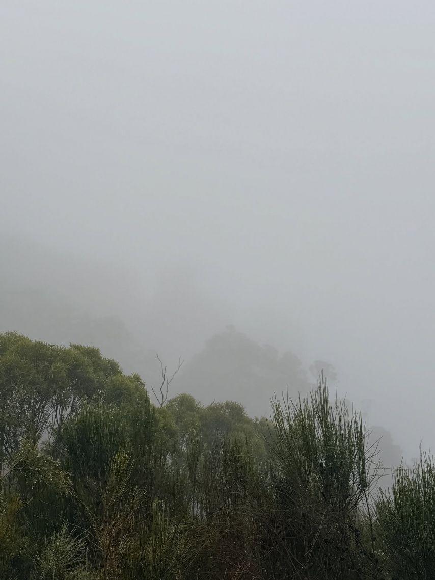 주시은 아나운서27